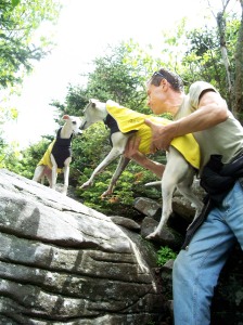 The pups often needed a helping hand to get up the rock faces