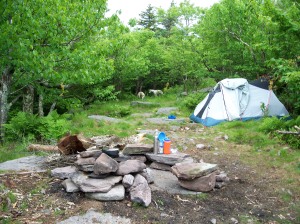 Our luxe accommodations included a large "pup tent" and kitchenette 