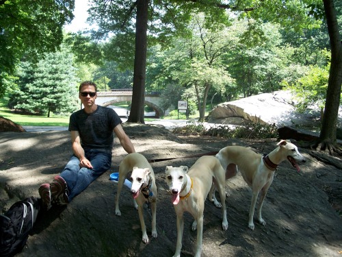 Bob with our three whippets, C-Biscuit, Sesame and Machu Picchu