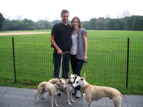 Bob, Shira and the NYC Whippet Packette: Well-behaved, except when not