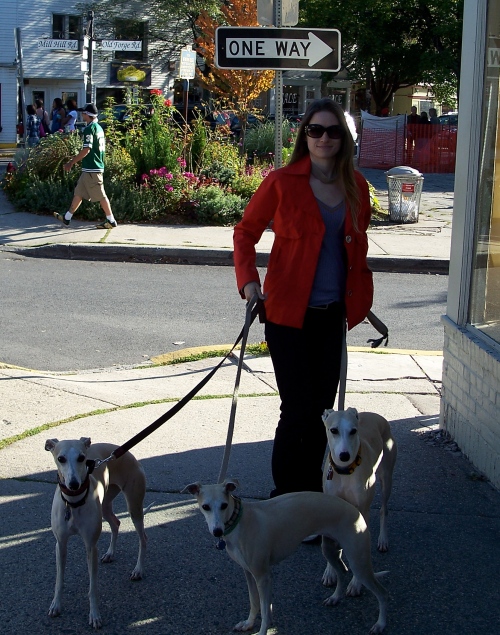 Shira and the NYC House Whippets on a field trip to Woodstock