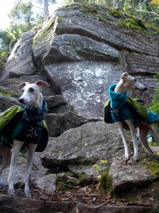 Sesame and Biski look for a way around the rock-scaling, but there isn't one
